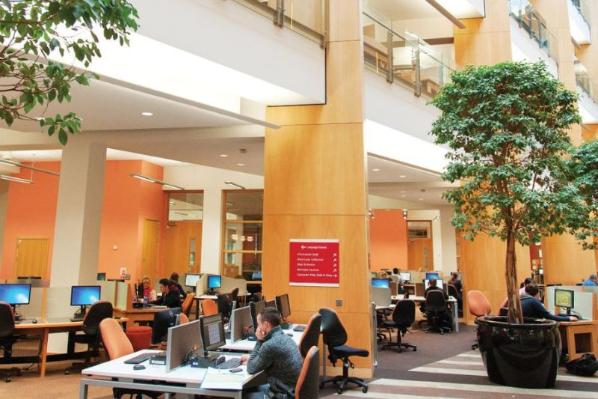 Students sitting as desks on laptops and studying in a large bright open high ceilinged and airy McClay Library